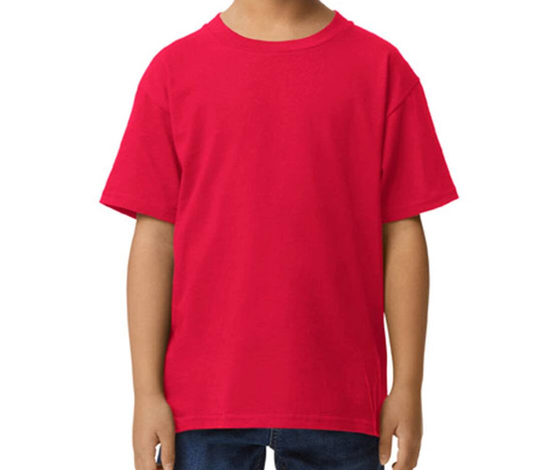 Camiseta Softstyle Midweight Kids 65000B