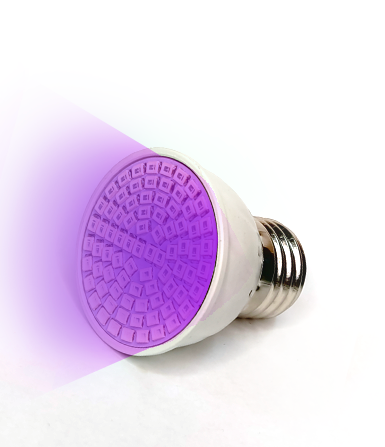 Bombilla LED UV para insolar freeshipping - Pulpo en su tinta