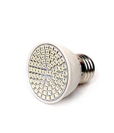 Bombilla LED UV para insolar freeshipping - Pulpo en su tinta